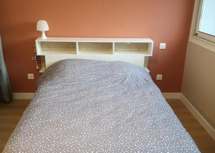 Ancely * Тулуза